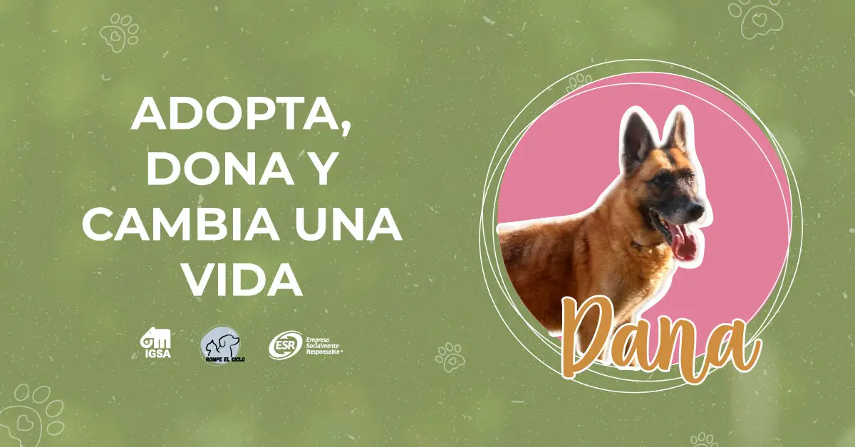 Adopta, dona y cambia la vida de Dana