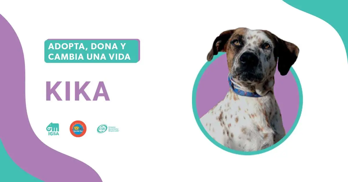 Adopta a Kika