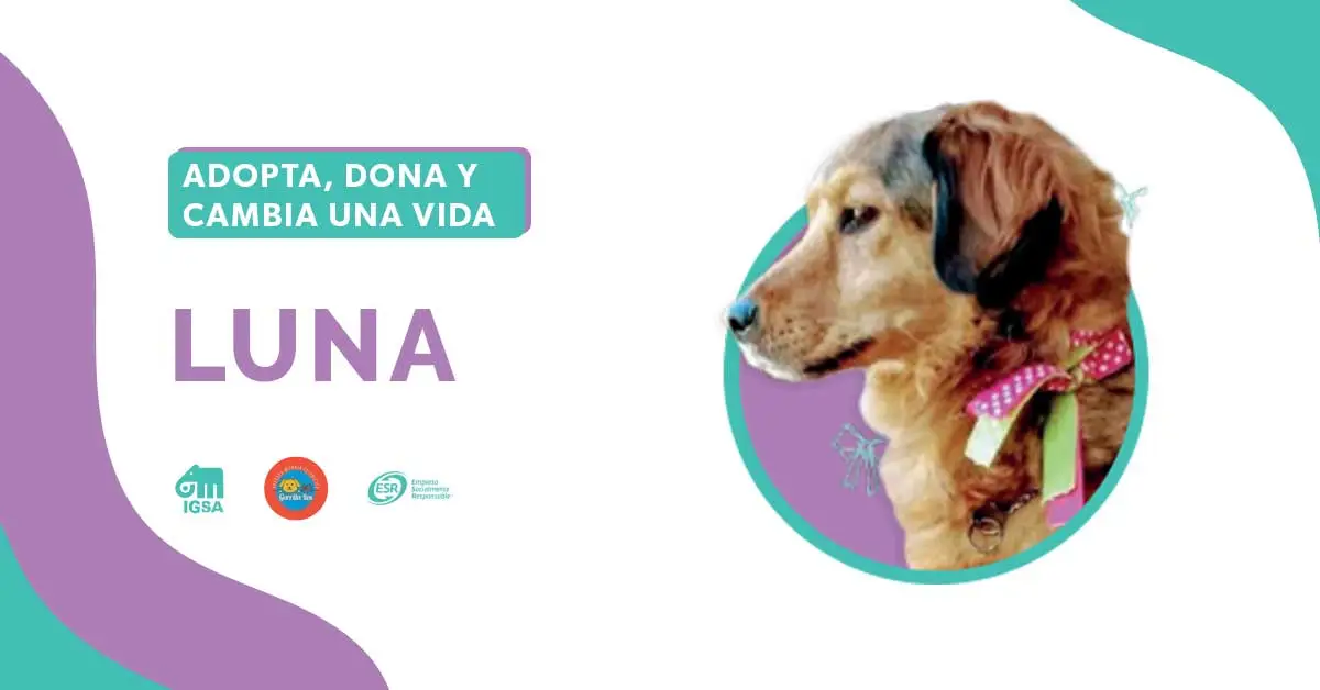 Adopta a Luna