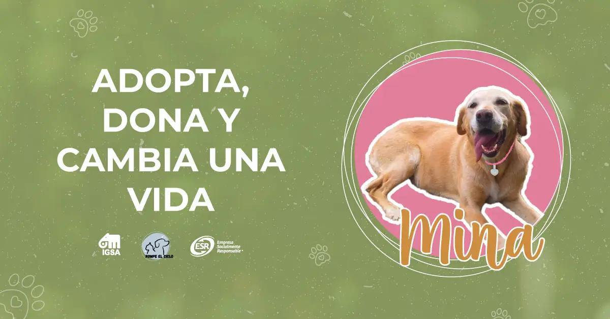 Adopta, dona y cambia la vida de Mina