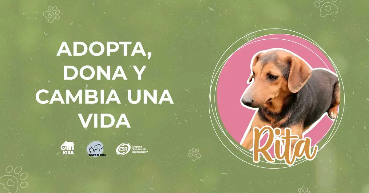 Adopta, dona y cambia la vida de Rita