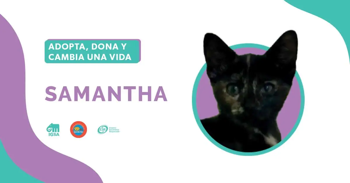 Adopta a Samantha