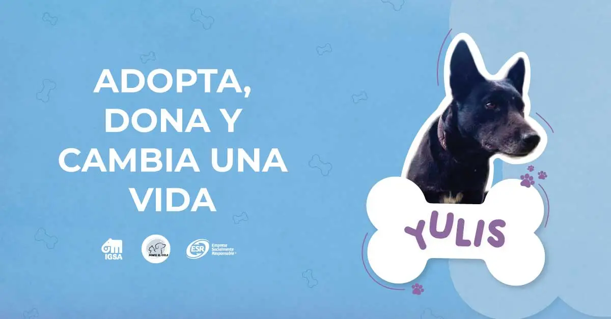 Adopta, dona y cambia la vida de Yulis